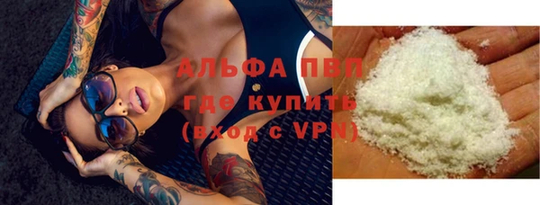 крисы Мегион