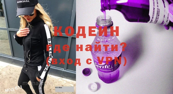 крисы Мегион