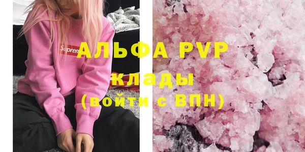 крисы Мегион