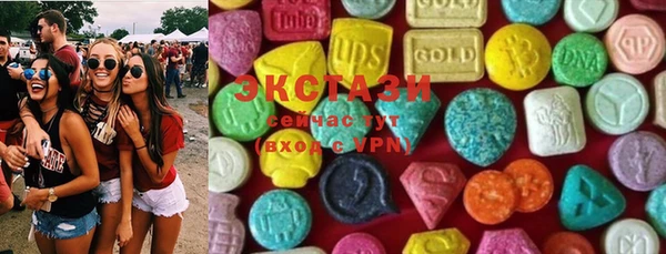 крисы Мегион