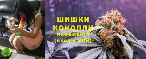крисы Мегион