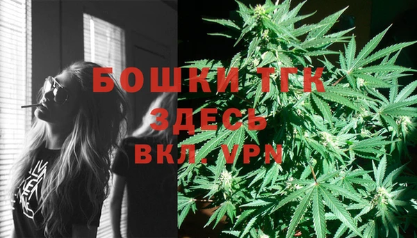 индика Магас