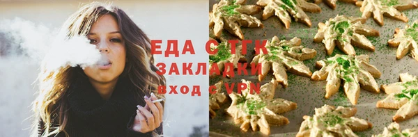 индика Магас