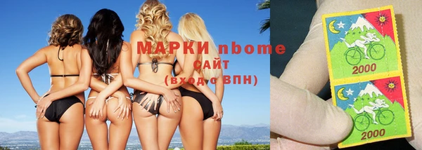 индика Магас