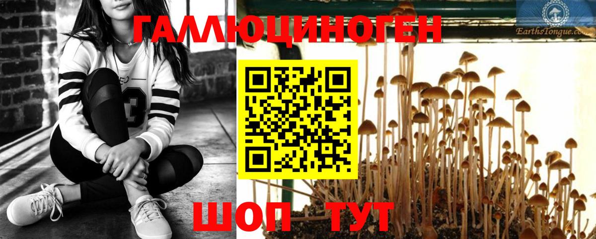 где можно купить наркотик  Псилоцибиновые грибы Psilocybine cubensis  Березники  Галлюциногенные грибы MAGIC MUSHROOMS 