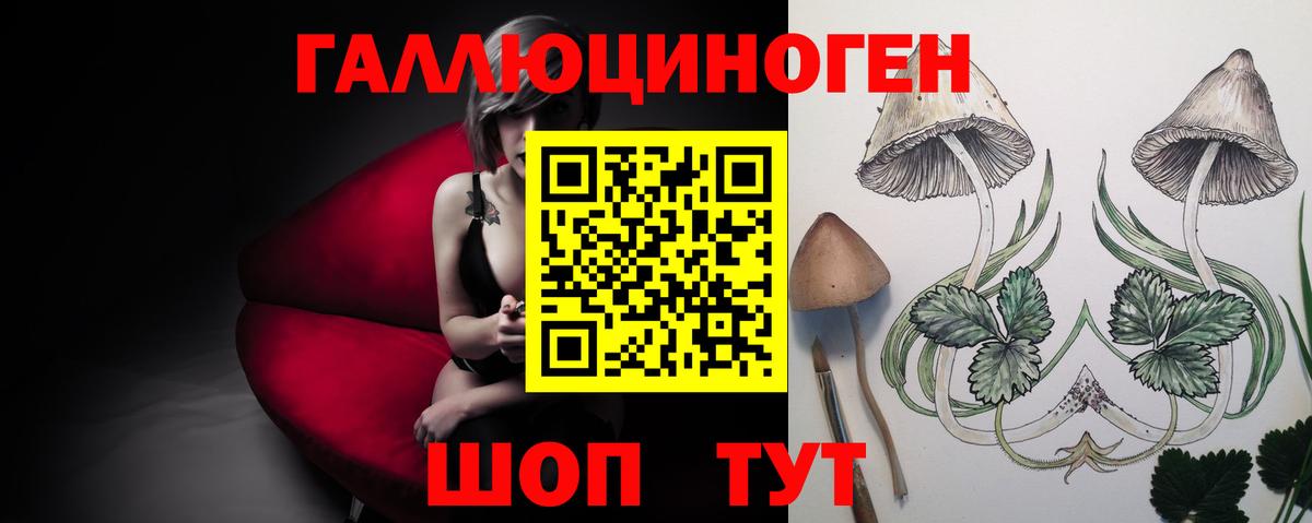 Галлюциногенные грибы Cubensis  Галлюциногенные грибы мицелий  Вход с VPN  Березники 